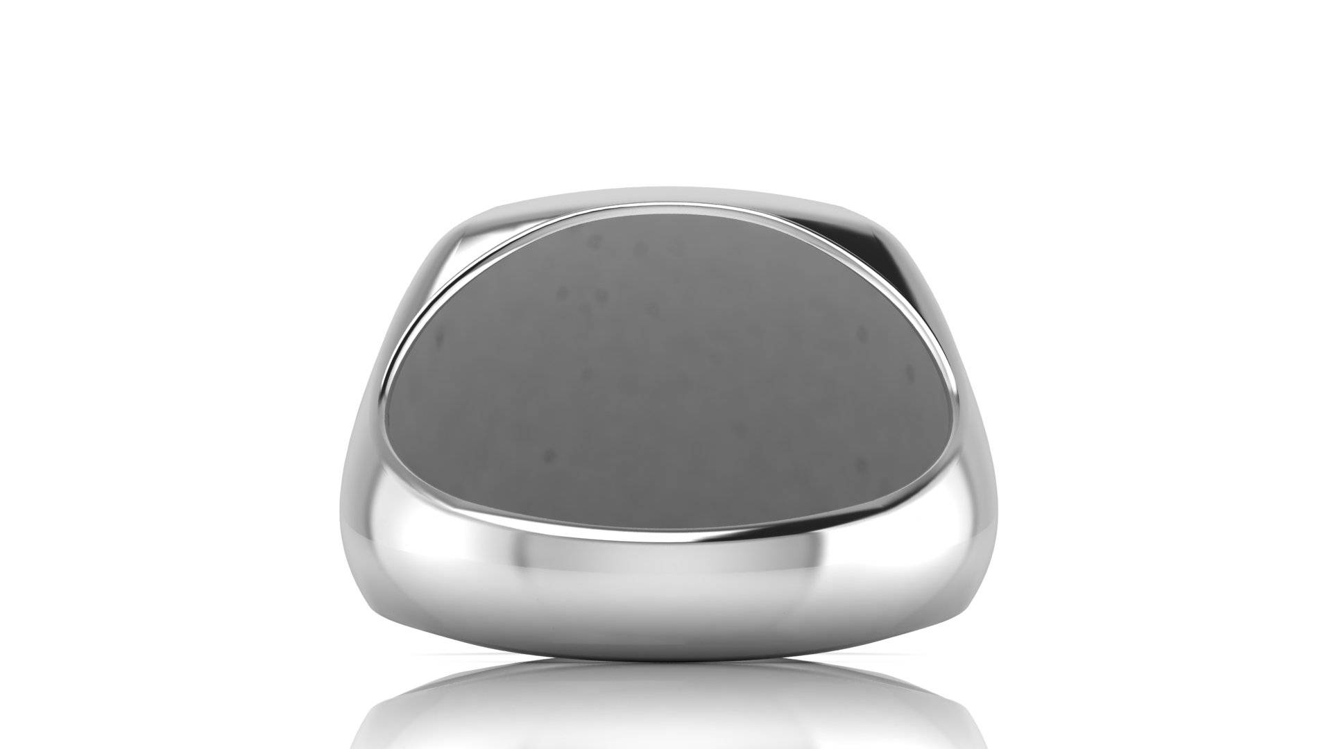 Custom Family Crest Ring – Handcrafted Signet in Silver or Solid Gold